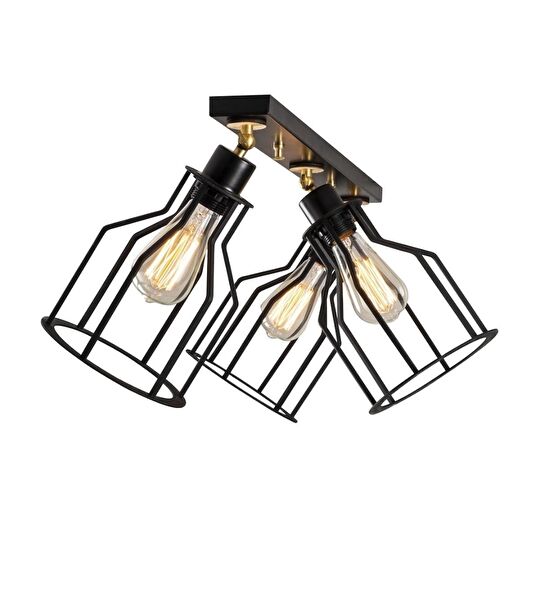 Riolight Avize, Sarkıt