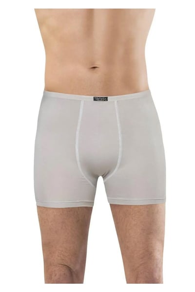 Anıt Erkek Boxer, Slip, Külot