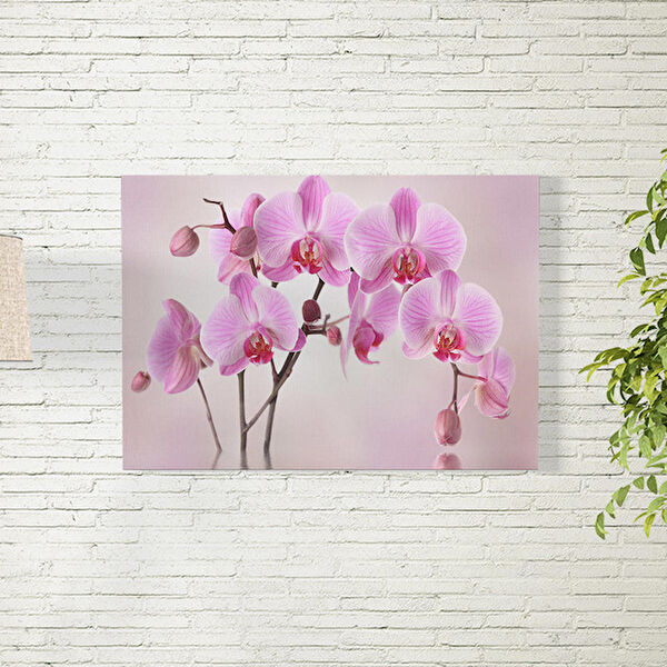 Reysa Tasarım Poster, Afiş