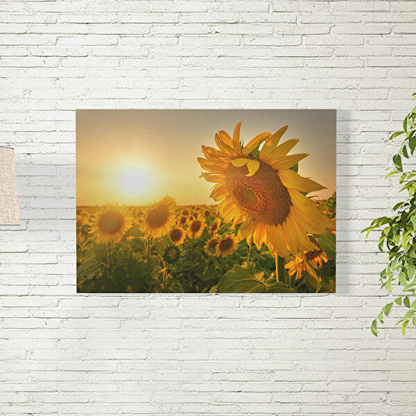 Reysa Tasarım Poster, Afiş