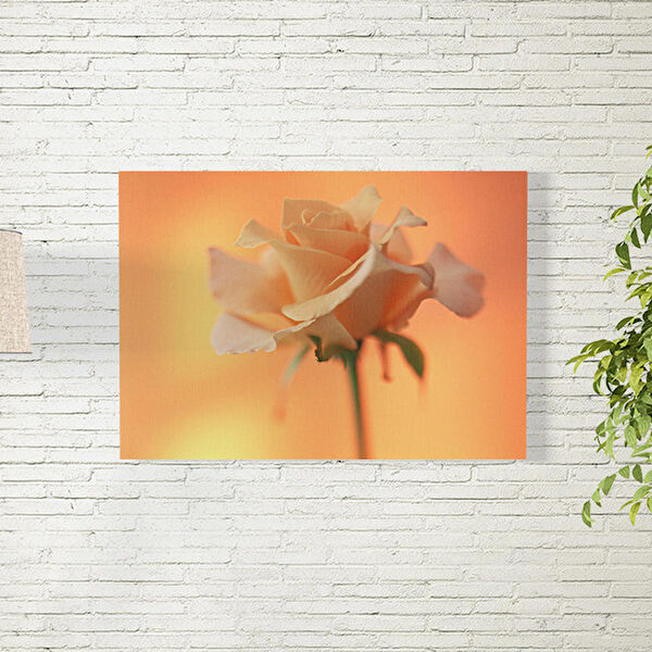 Reysa Tasarım Poster, Afiş