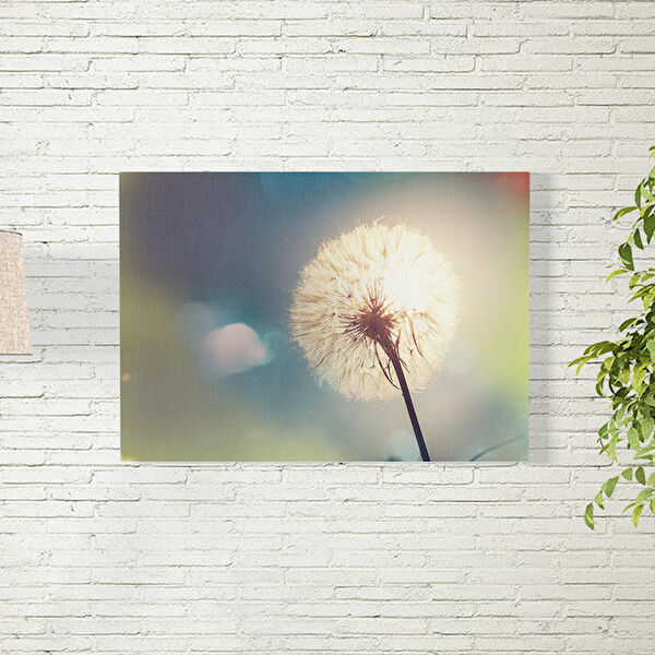 Reysa Tasarım Poster, Afiş