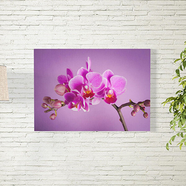 Reysa Tasarım Poster, Afiş