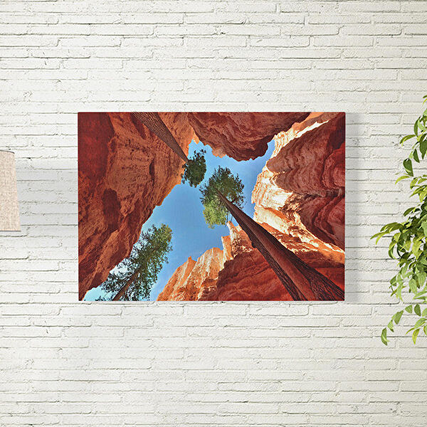 Reysa Tasarım Poster, Afiş