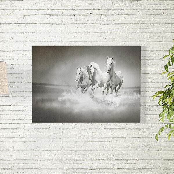 Reysa Tasarım Poster, Afiş