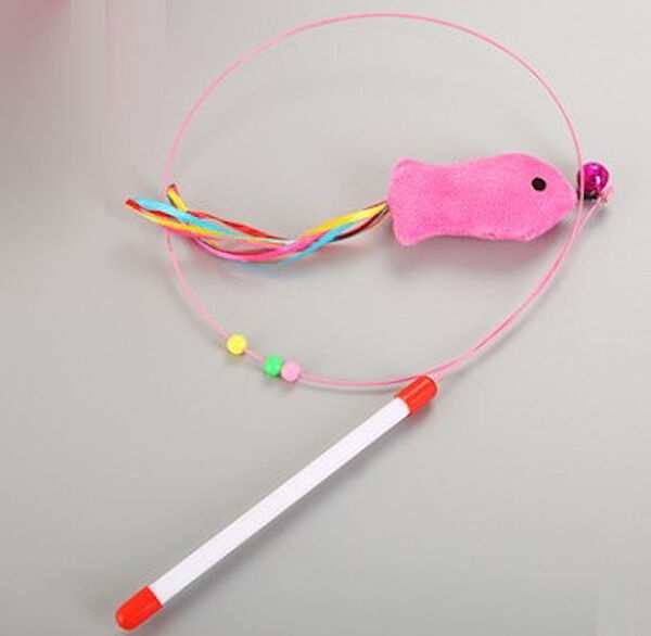 River World Kedi Oyuncakları