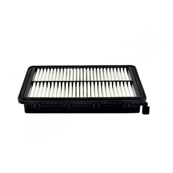 Rixenberg Hava Filtreleri