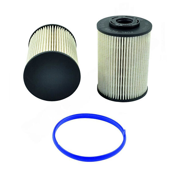 Rixenberg Yakıt Filtreleri