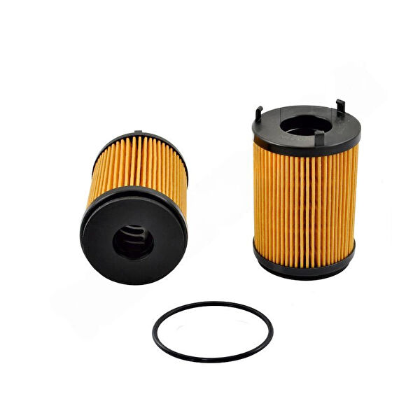 Rixenberg Yağ Filtreleri