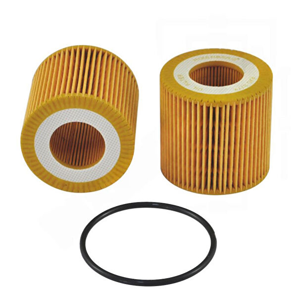 Rixenberg Yağ Filtreleri