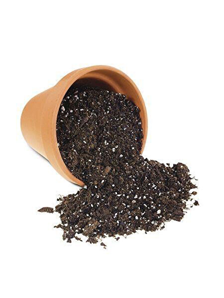 Reyon Bahçe Torf ve Toprak