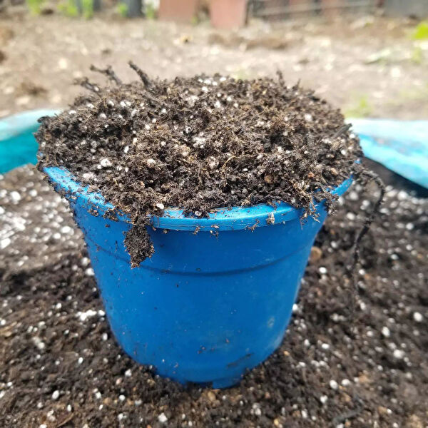 Reyon Bahçe Torf ve Toprak