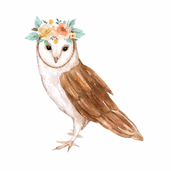 Reysa Tasarım Dekoratif Sticker