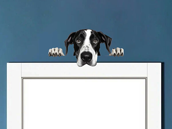 Reysa Tasarım Dekoratif Sticker