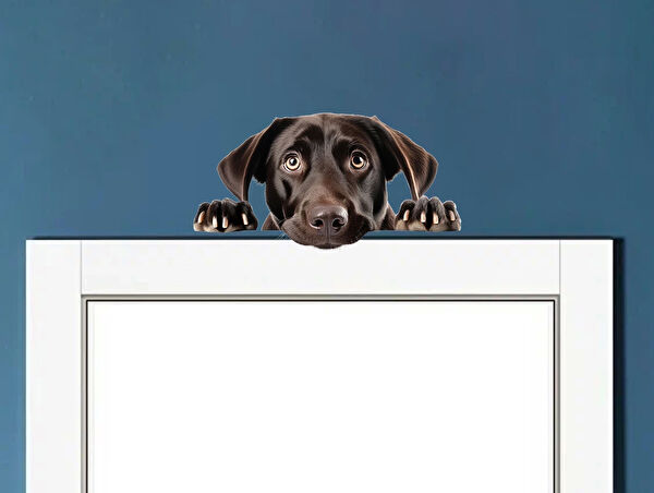 Reysa Tasarım Dekoratif Sticker