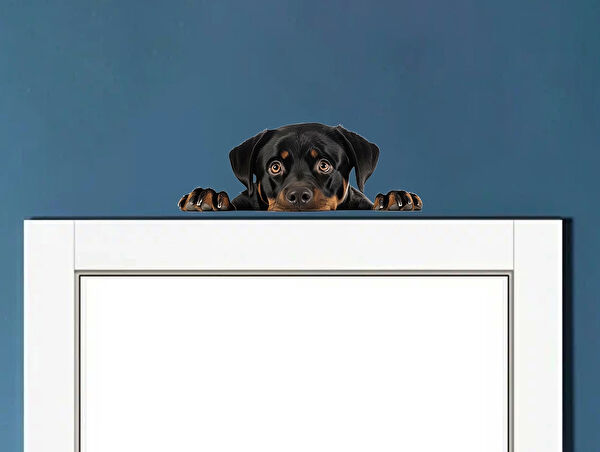 Reysa Tasarım Dekoratif Sticker