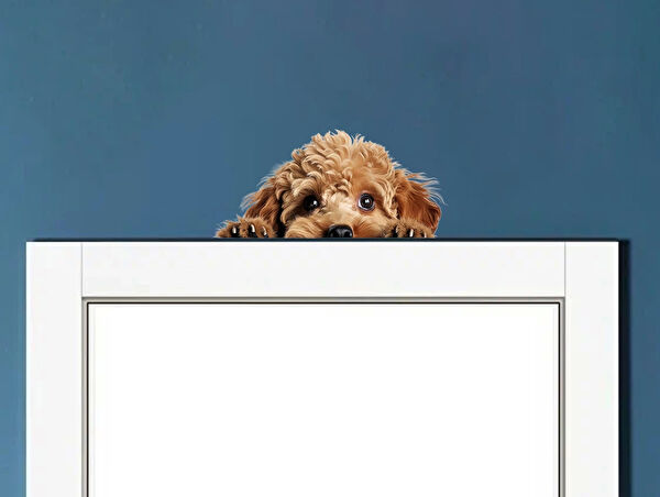 Reysa Tasarım Dekoratif Sticker