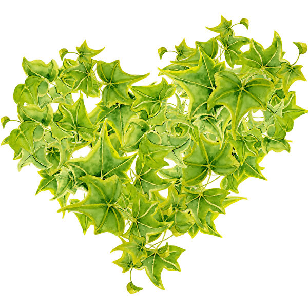 Reysa Tasarım Dekoratif Sticker