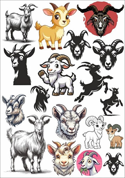 Reysa Tasarım Etiket, Sticker