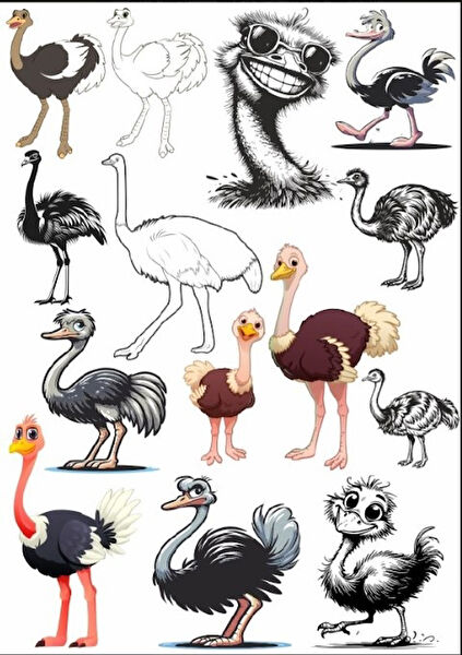 Reysa Tasarım Etiket, Sticker