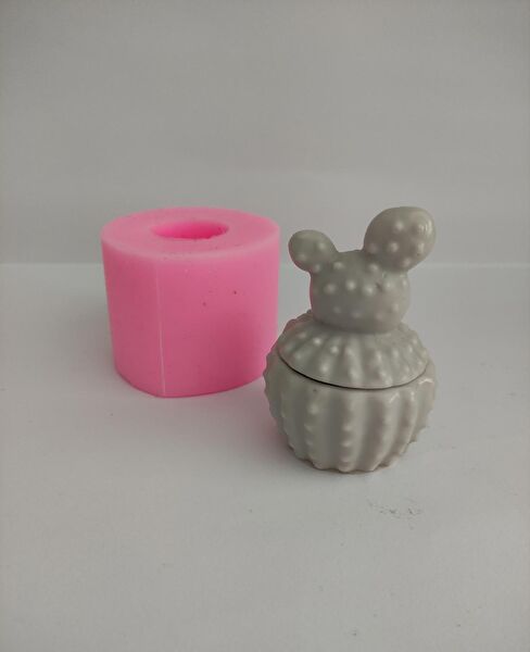 AnkaHobiMarket Pasta, Kek Kalıbı