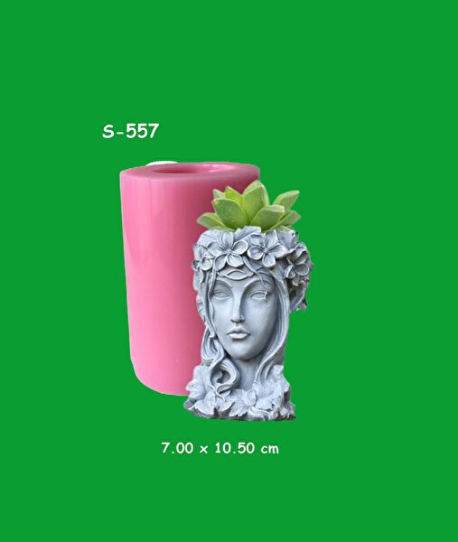 AnkaHobiMarket Pasta, Kek Kalıbı