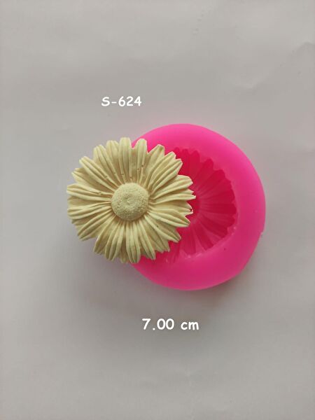 AnkaHobiMarket Pasta, Kek Kalıbı