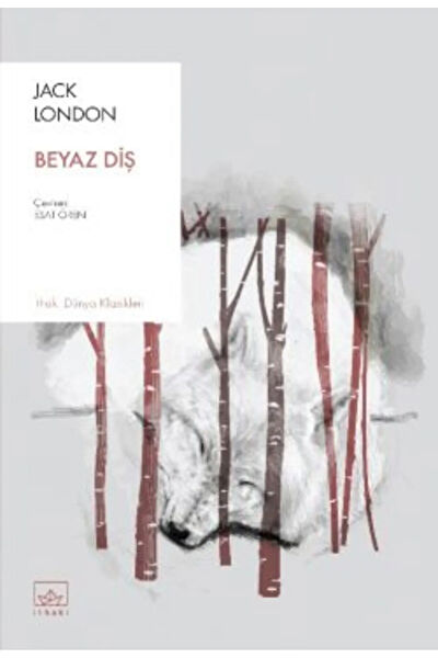 İthaki yayınları Roman