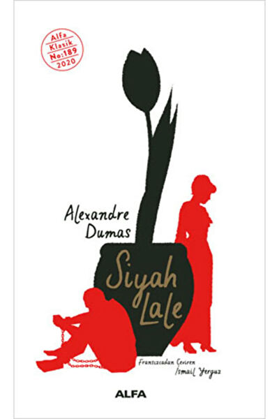 Alfa Yayınevi Roman