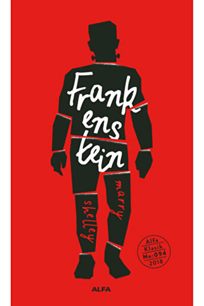 Alfa Yayınevi Roman