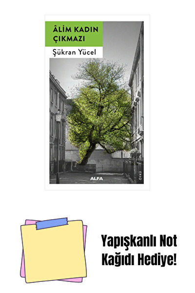 Alfa Yayınevi Roman