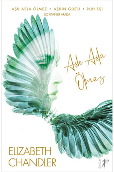 Artemis Yayınevi Roman