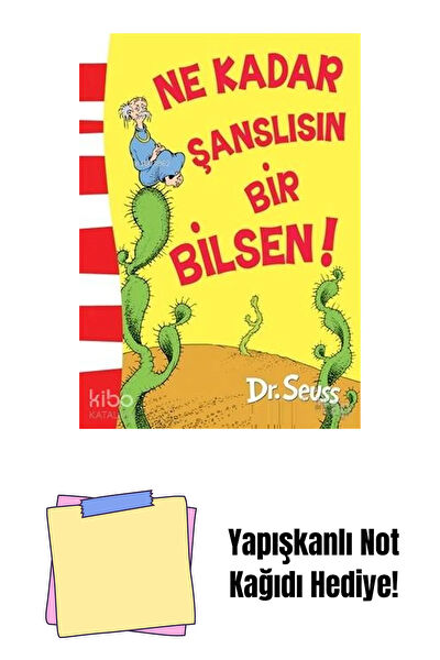 Epsilon Yayınevi Roman