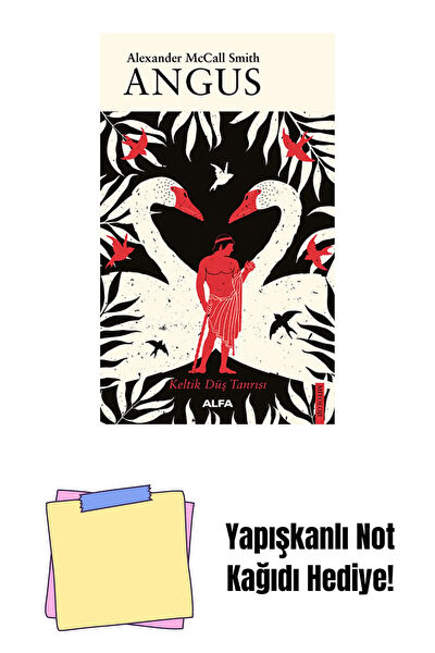 Alfa Yayınevi Roman