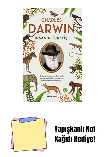 Alfa Yayınevi Roman