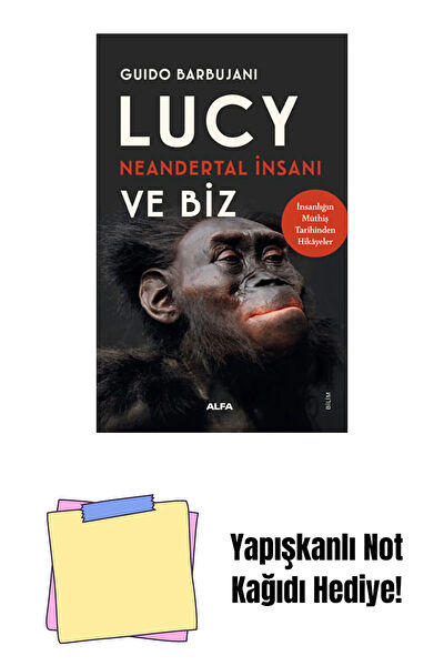 Alfa Yayınevi Roman