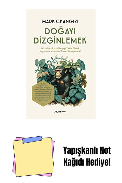 Alfa Yayınevi Roman