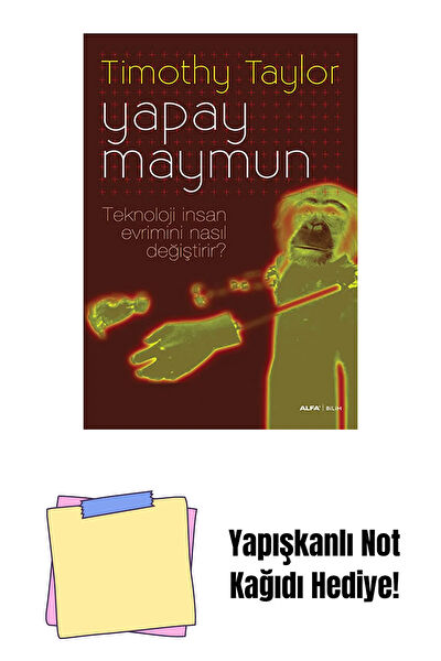 Alfa Yayınevi Roman