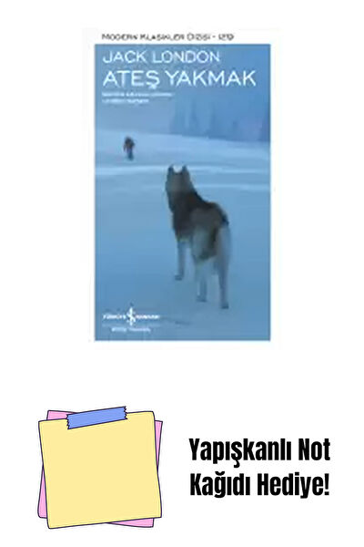 İş Bankası Kültür Yayınları Roman