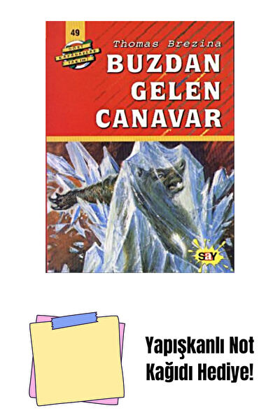 Say Yayınları Roman