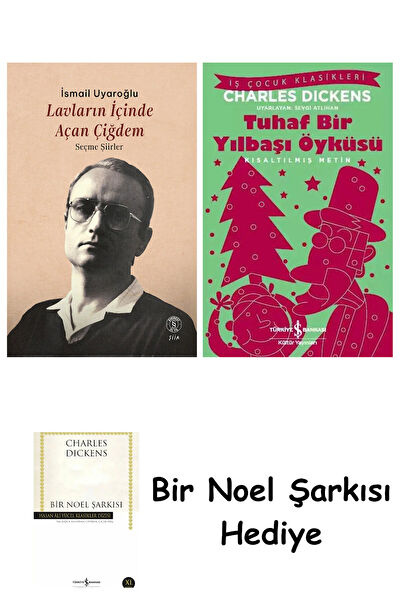 İş Bankası Kültür Yayınları Derleme, Antoloji