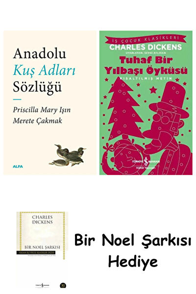 Türkiye İş Bankası Kültür Yayınları Sözlük ve İmla Kılavuzları
