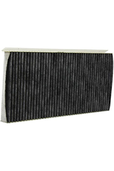 TAMDA ARADIĞIM Polen Filtreleri