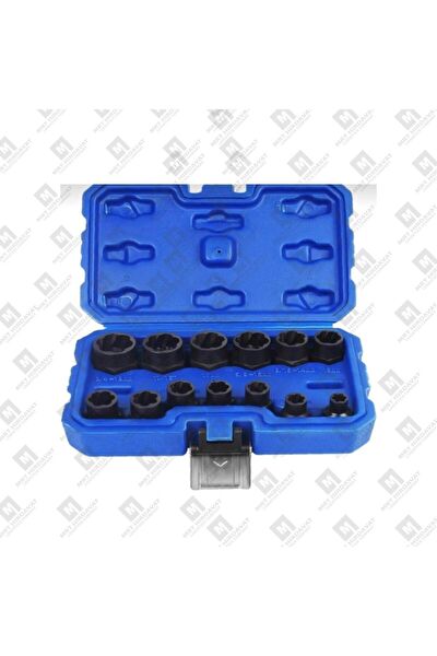 SB Alyan, Lokma Takımı