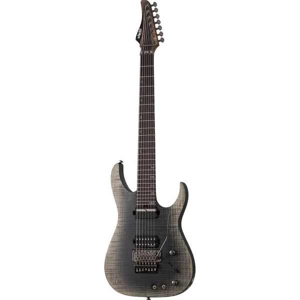 Schecter Gitar