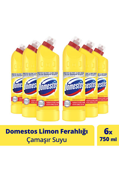 Domestos Çamaşır Suyu