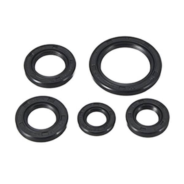 Lider Motosiklet Karter Korumaları