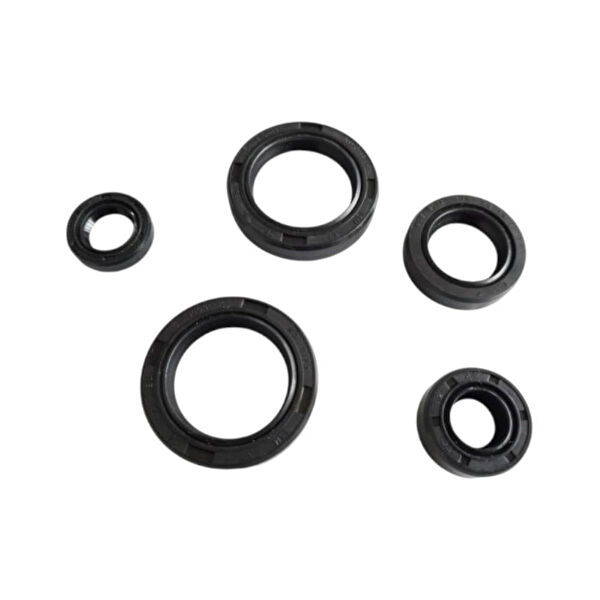 CSR Motosiklet Karter Korumaları