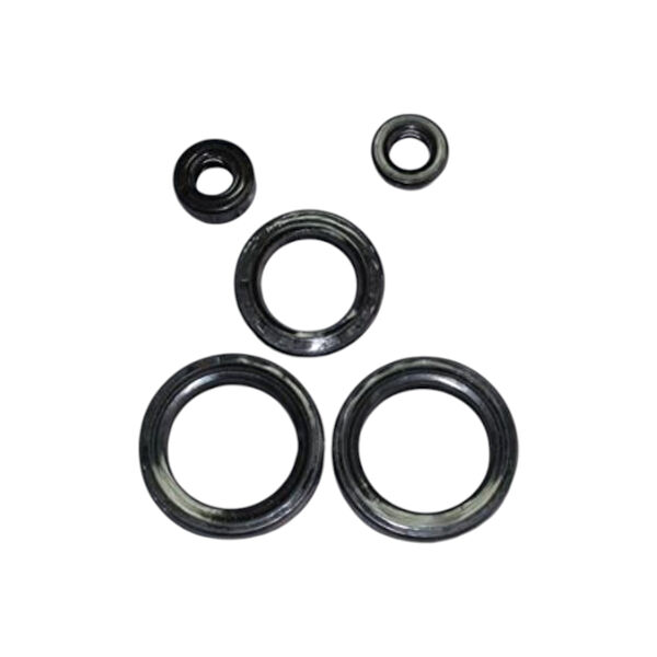 Lider Motosiklet Karter Korumaları