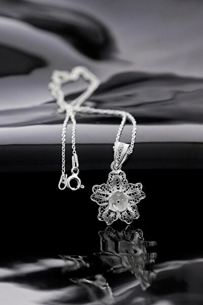 Sahra gümüş Takı Aparatları